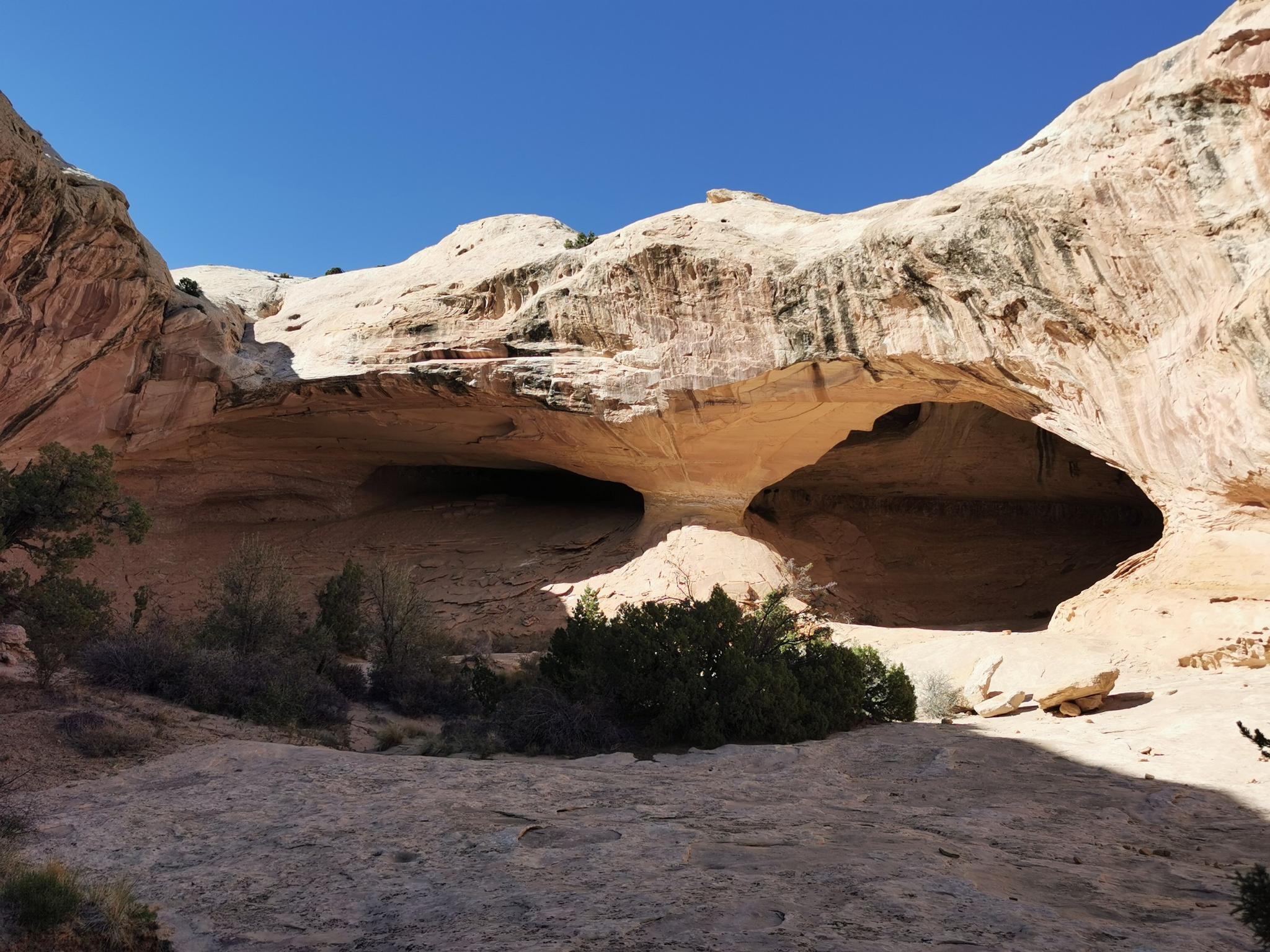 Two dark cave entrances under a large rock overhang in a sunny desert.