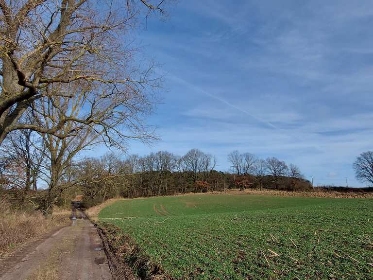 Turmhügel Wanderungen und Rundwege komoot