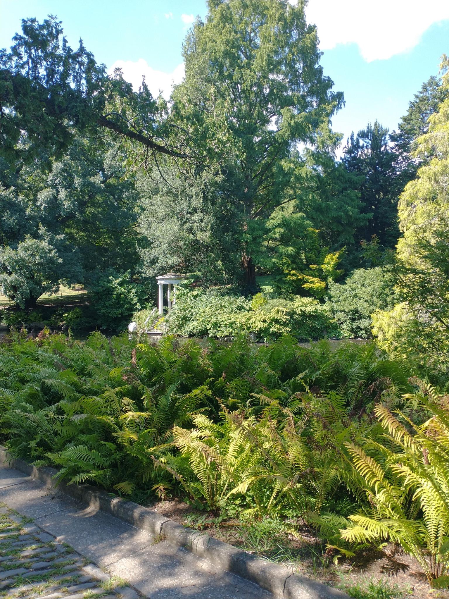 Bright garden scene with lush ferns, tall trees, and a distant white gazebo.