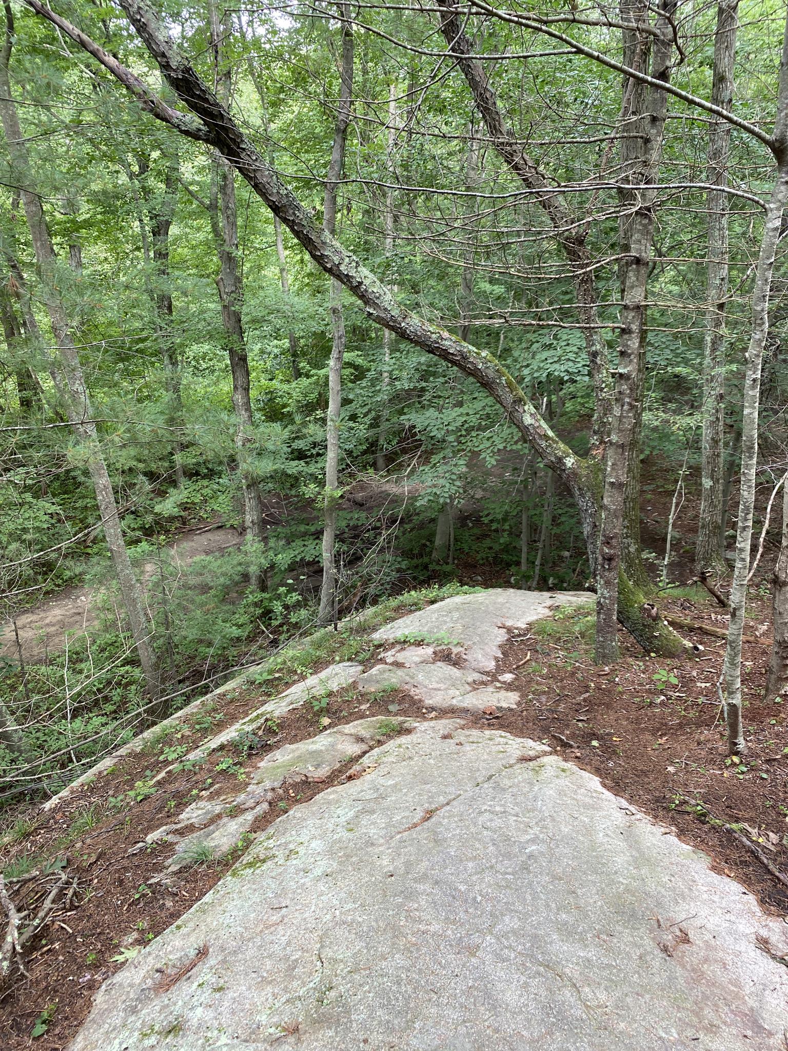 Rocky outcrop overlooking a dense green forest on a bright day.