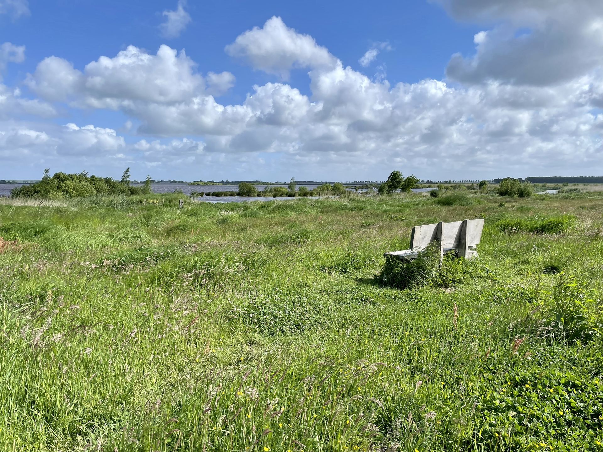 Ostfriesland und die Niederlande auf der Dollard Route erfahren ...