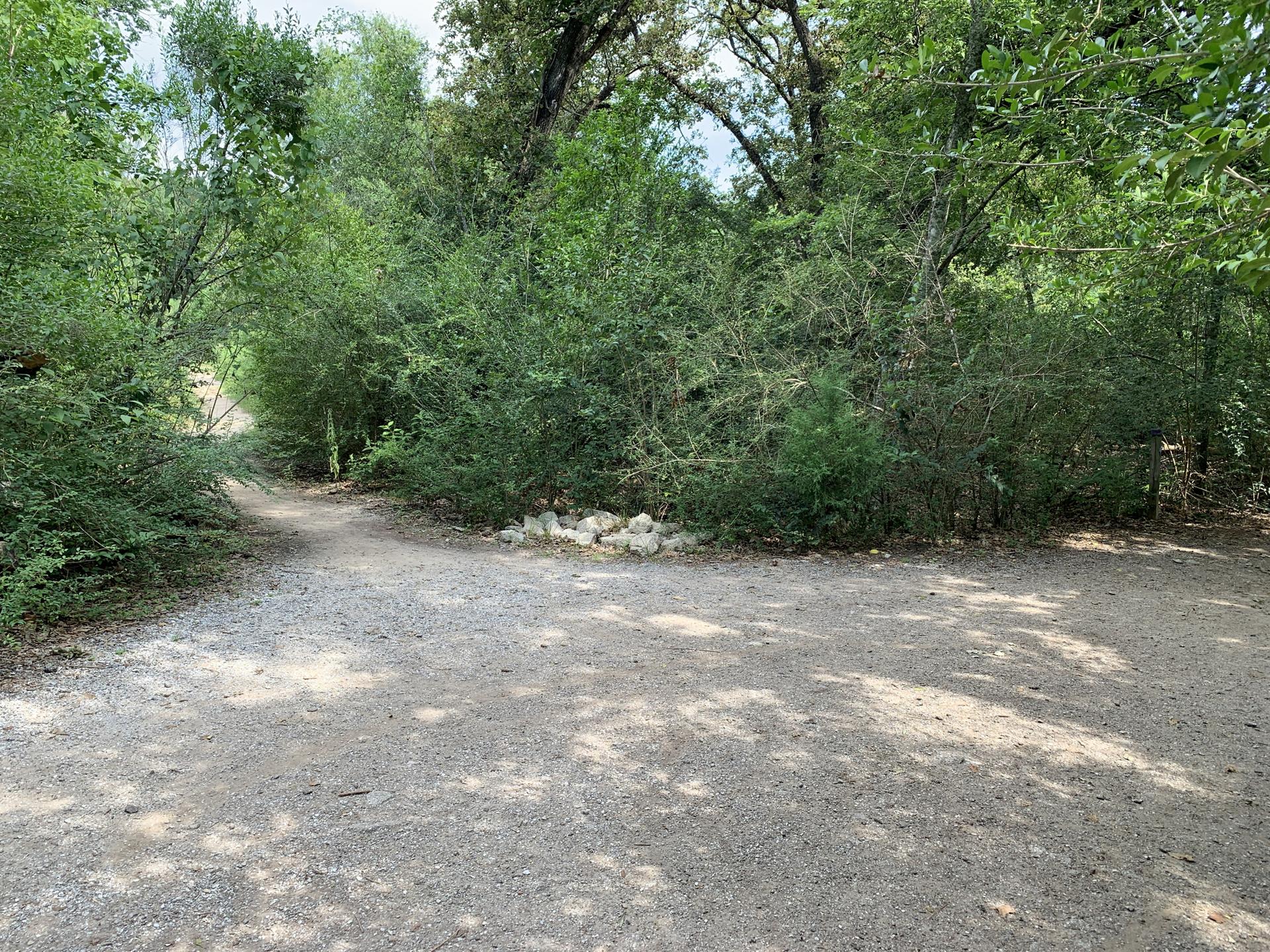 A gravel path forks into two, surrounded by dense green foliage.