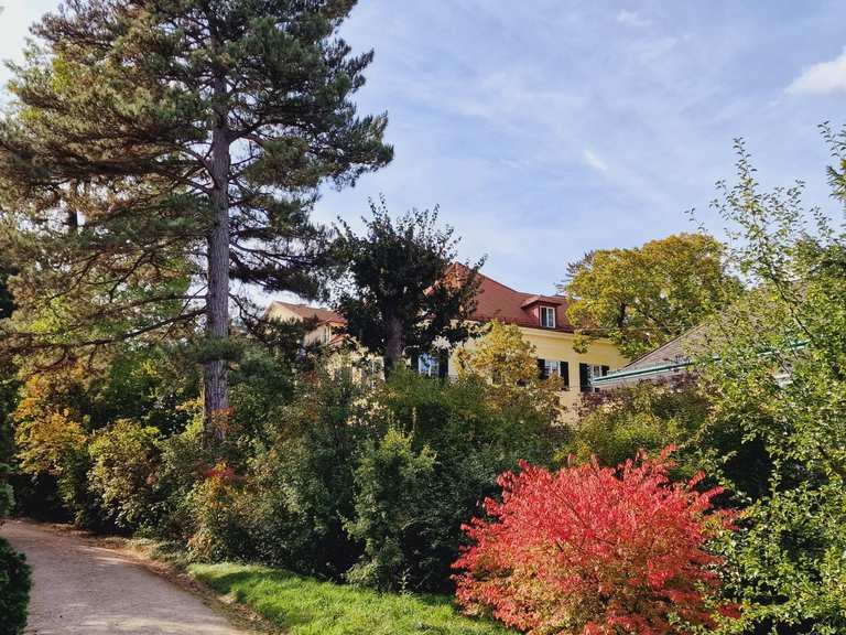 Botanischer Garten Schönbrunn Wanderungen und Rundwege komoot