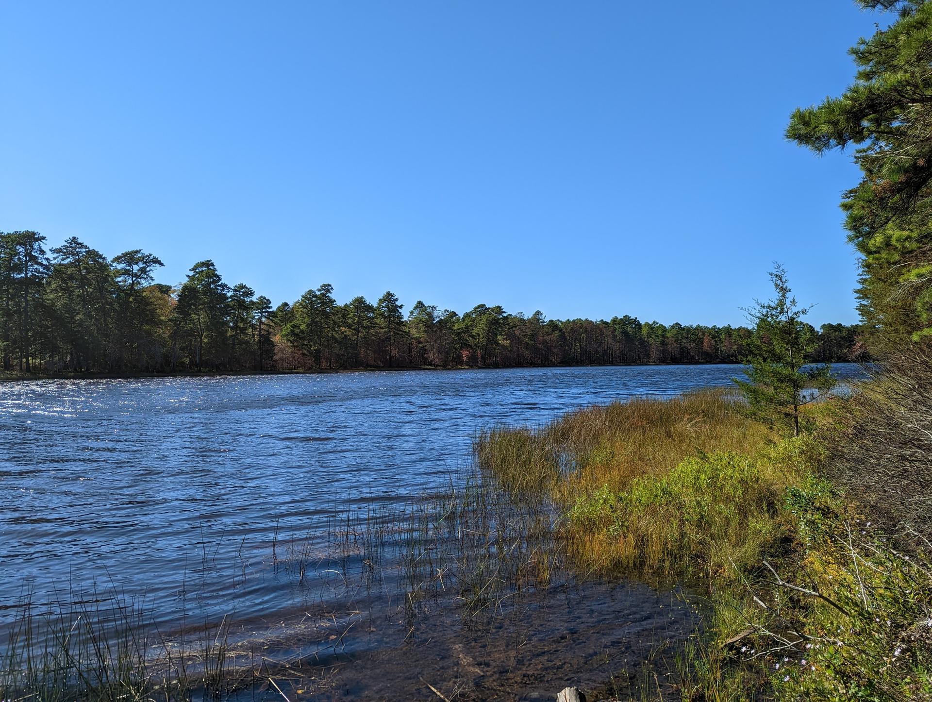 Bright sunny day over a wide lake bordered by green pine trees.