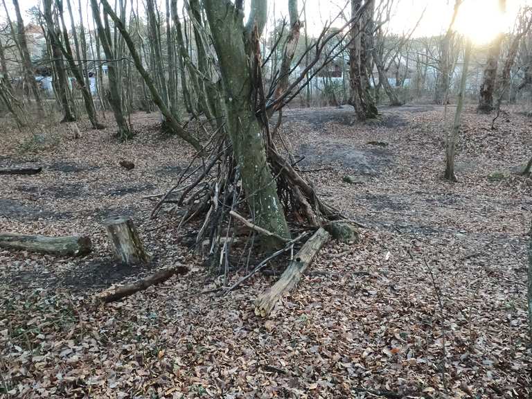 Lainzer Teich Wanderungen und Rundwege komoot