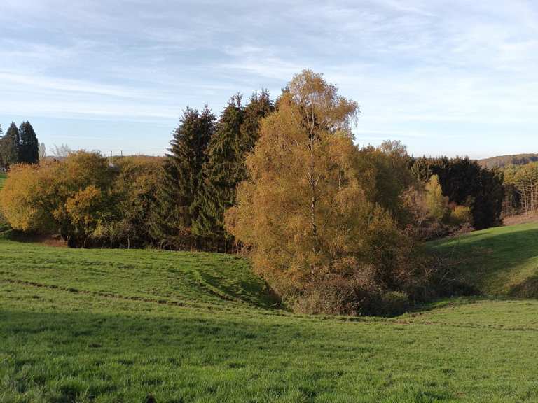 Blick ins Tal der Lindlarer Sülz Wanderungen und Rundwege komoot