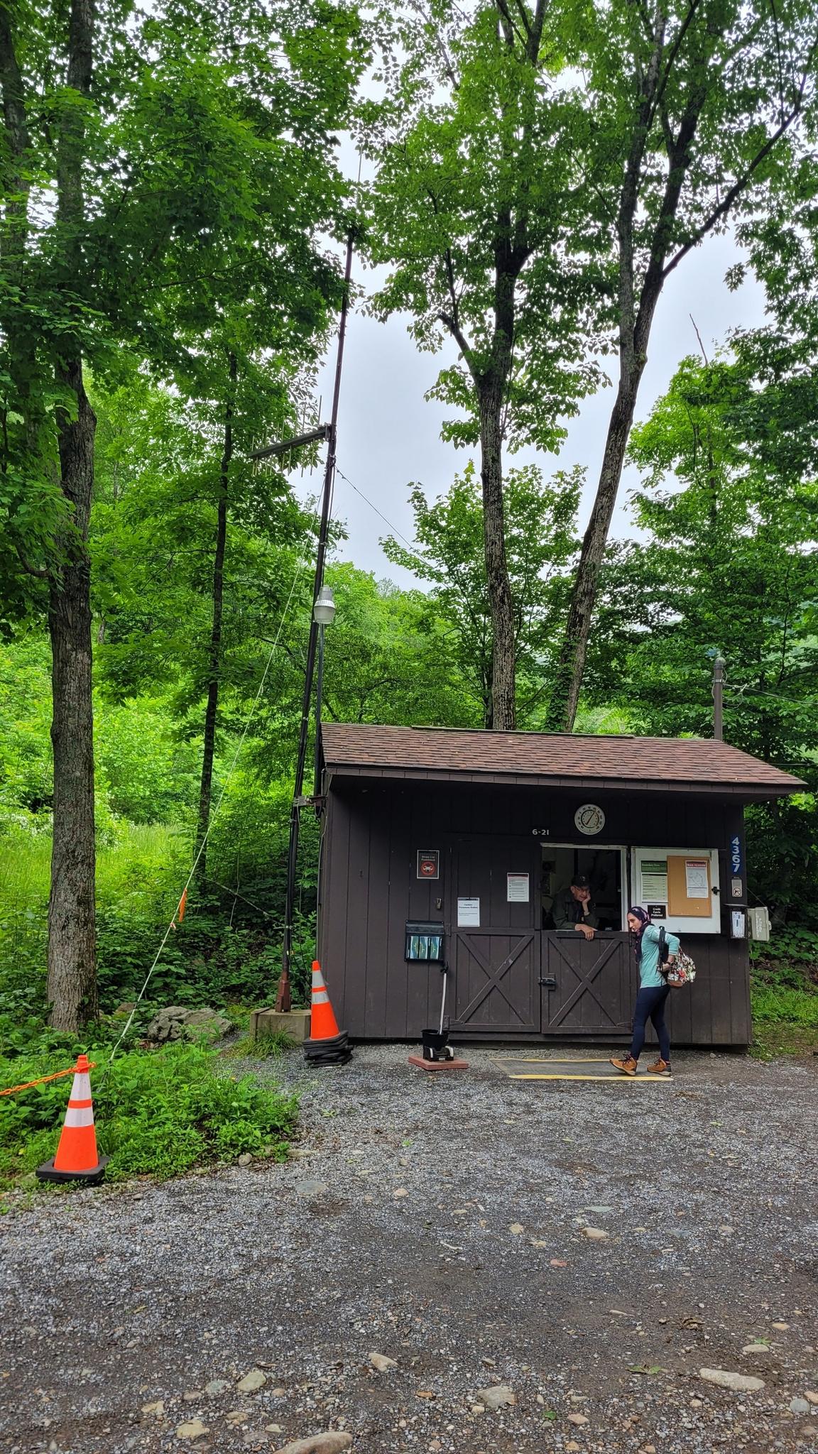 A person stands by a small wooden building in a wooded area.