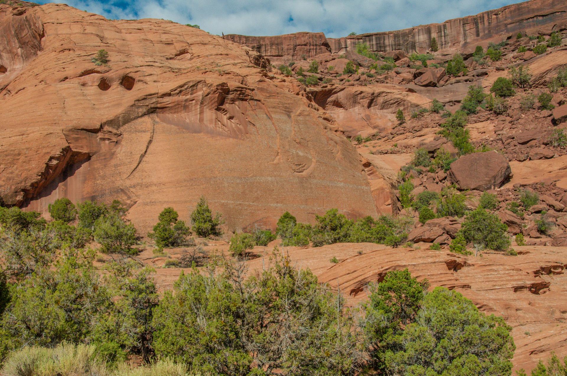 Massive red rock cliff face with green trees and bushes under a blue sky.