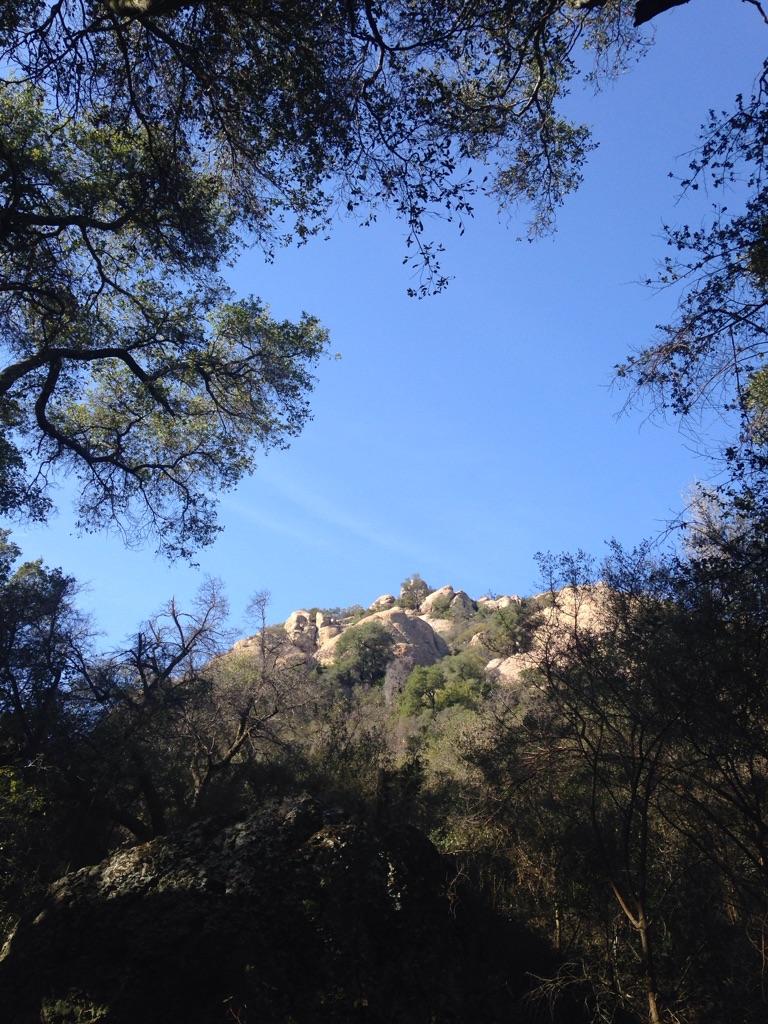 Rocky peaks visible through a canopy of dark green tree branches.