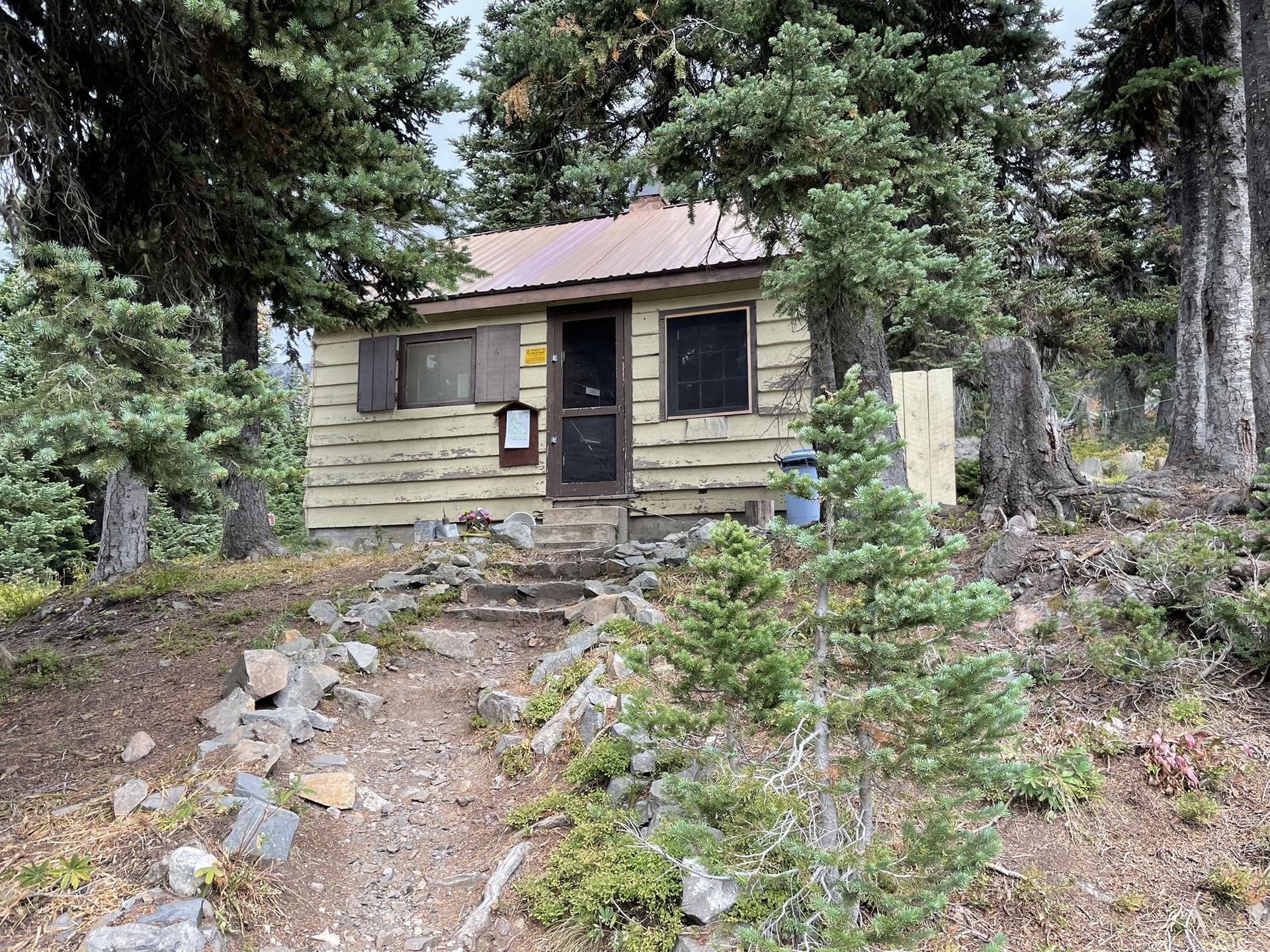A rustic wooden cabin with a metal roof sits among evergreen trees.