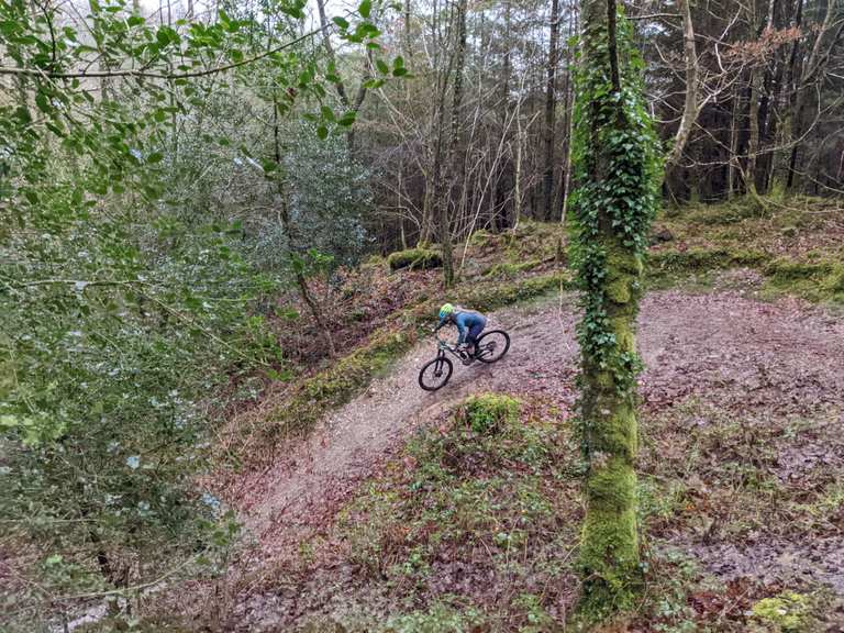 Brechfa sales mtb trails