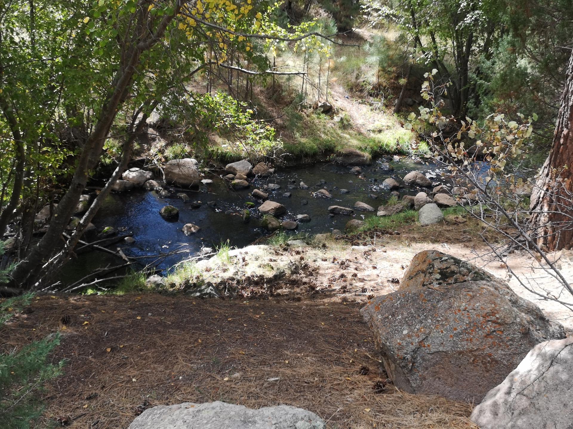 A rocky stream flows through a sun-dappled forest with large boulders.