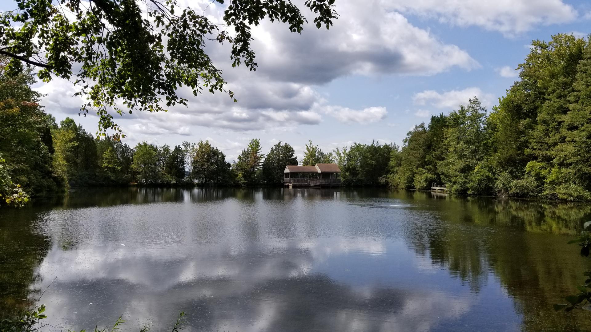 Calm lake reflecting cloudy sky, surrounded by green trees, with a house.