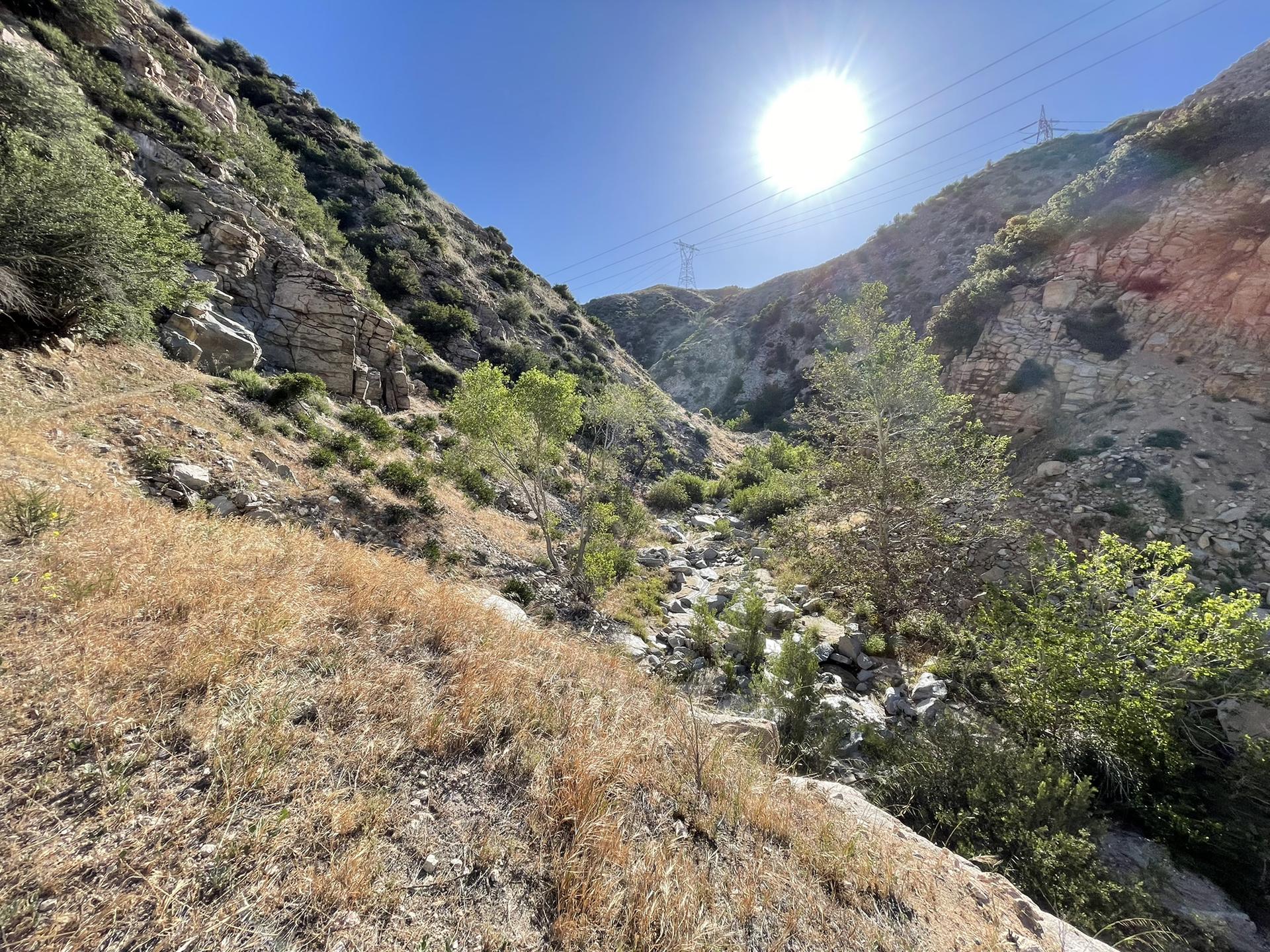 Bright sun shines over a dry, rocky canyon with sparse vegetation.