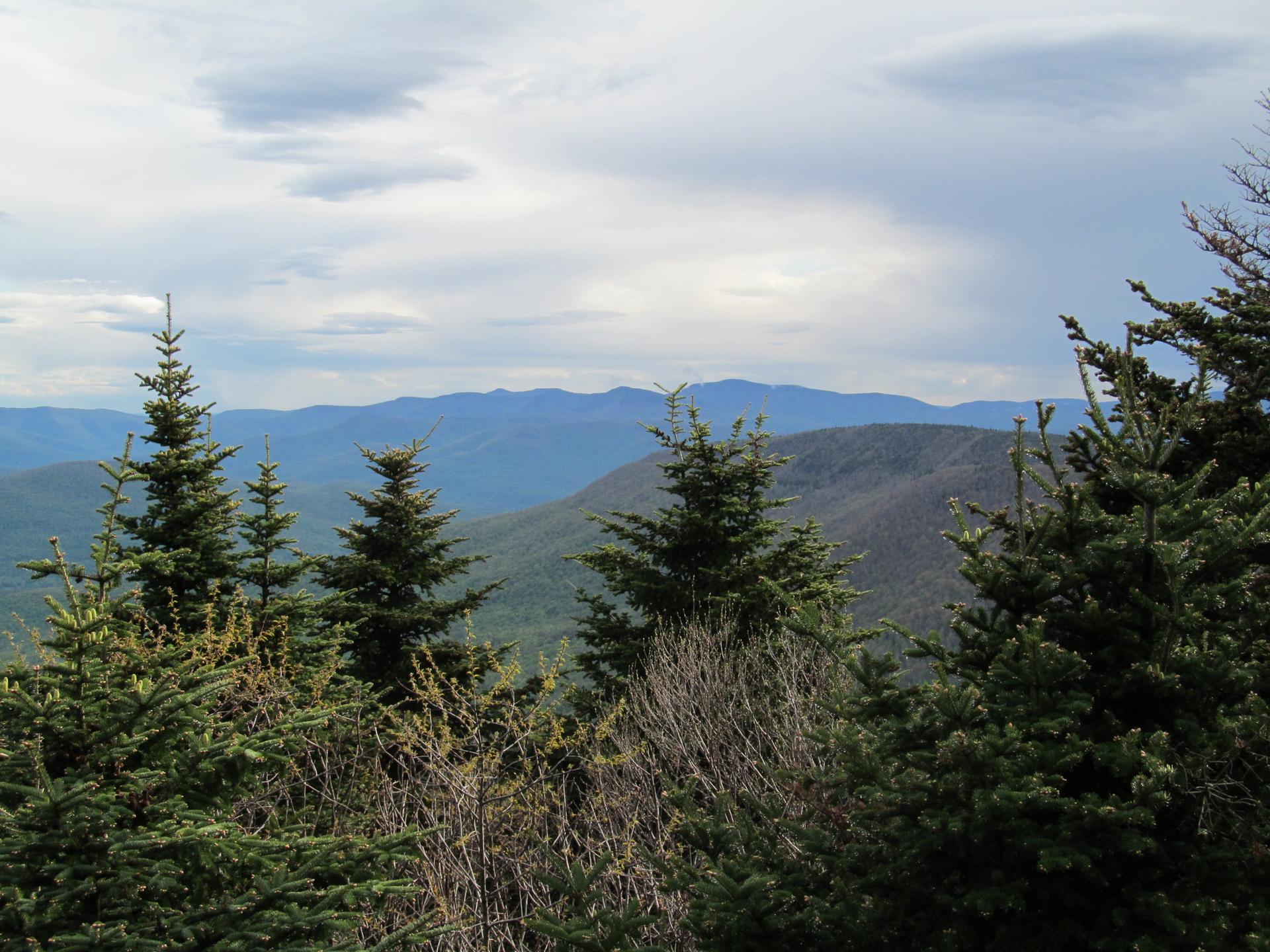 Overcast mountain vista with evergreen trees in the foreground and distant peaks.