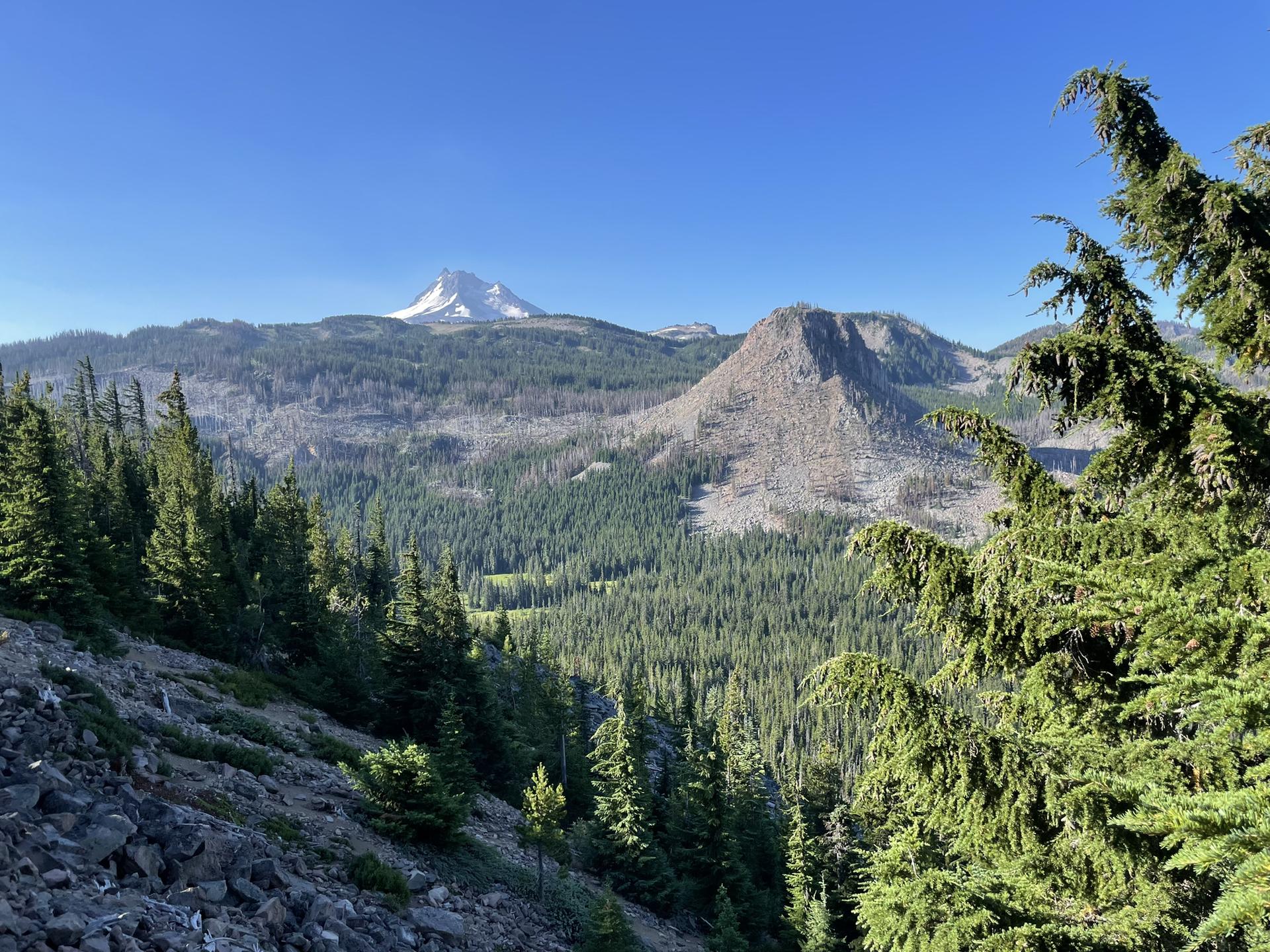 Panoramic view of a snow-capped mountain over a vast green forest.