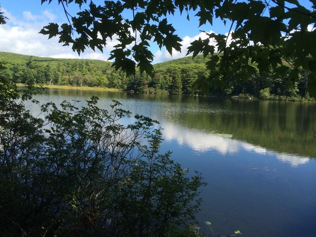 A serene lake reflecting blue sky and clouds, surrounded by lush green forests.