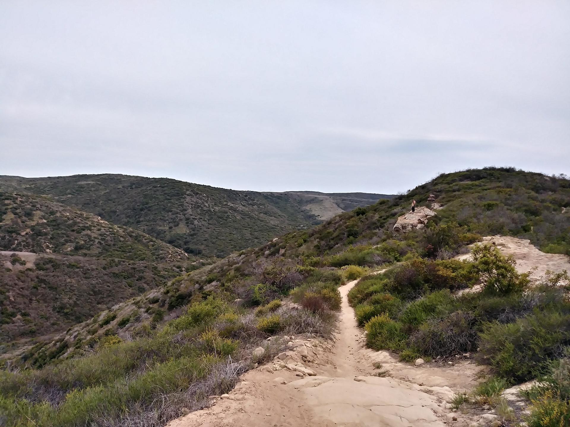 Dirt path winding through green hills under an overcast sky.