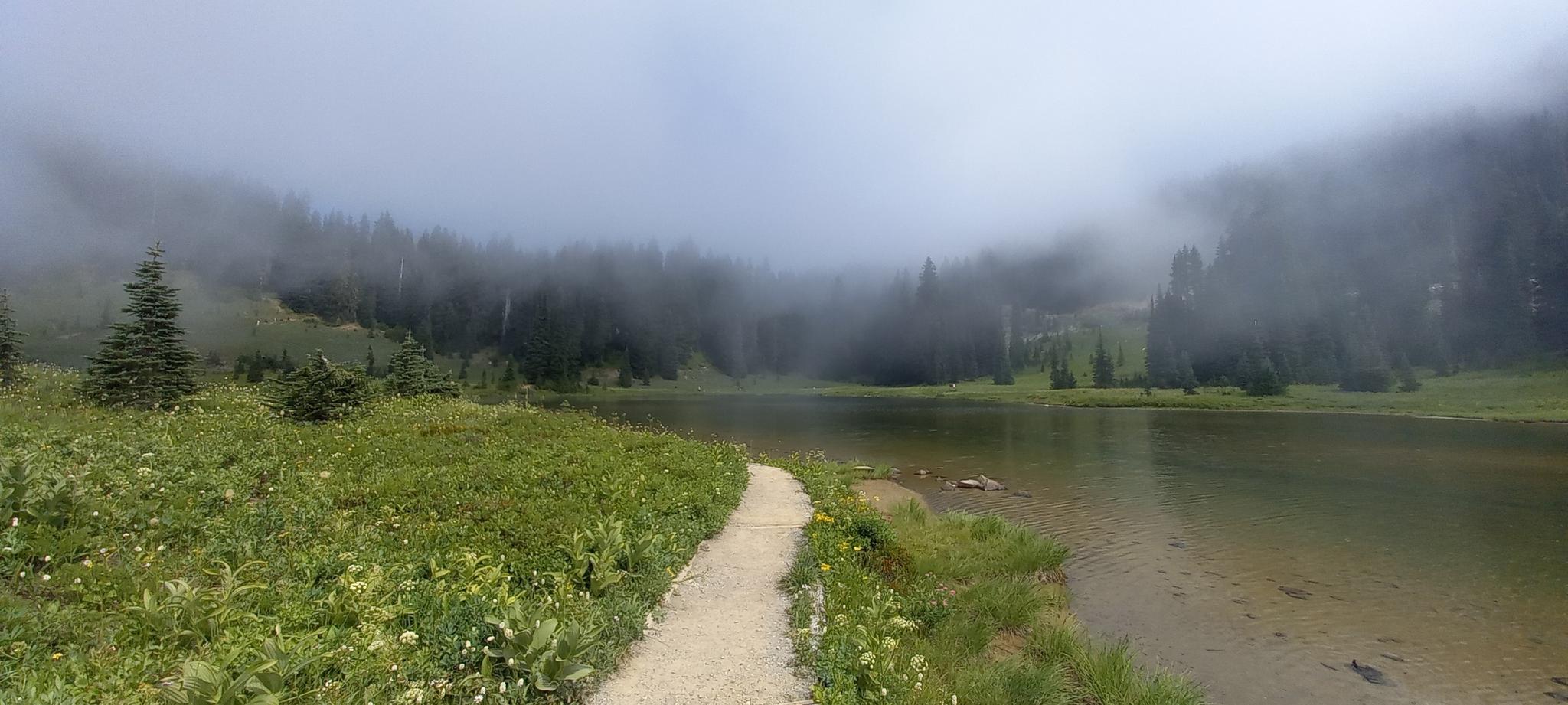 Path to a lake, surrounded by foggy forest and green meadow.