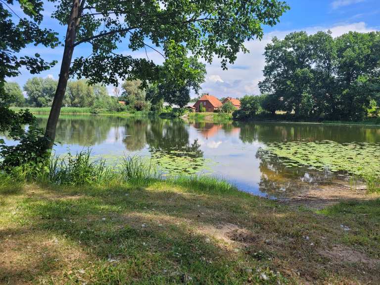 Rastplatz am Deich zwischen Elbe und Teich MountainbikeTouren und