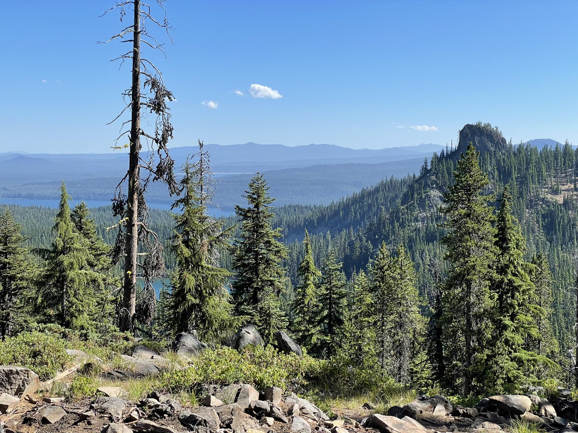 Rocky overlook with pine trees, offering a view of a distant lake and mountains.