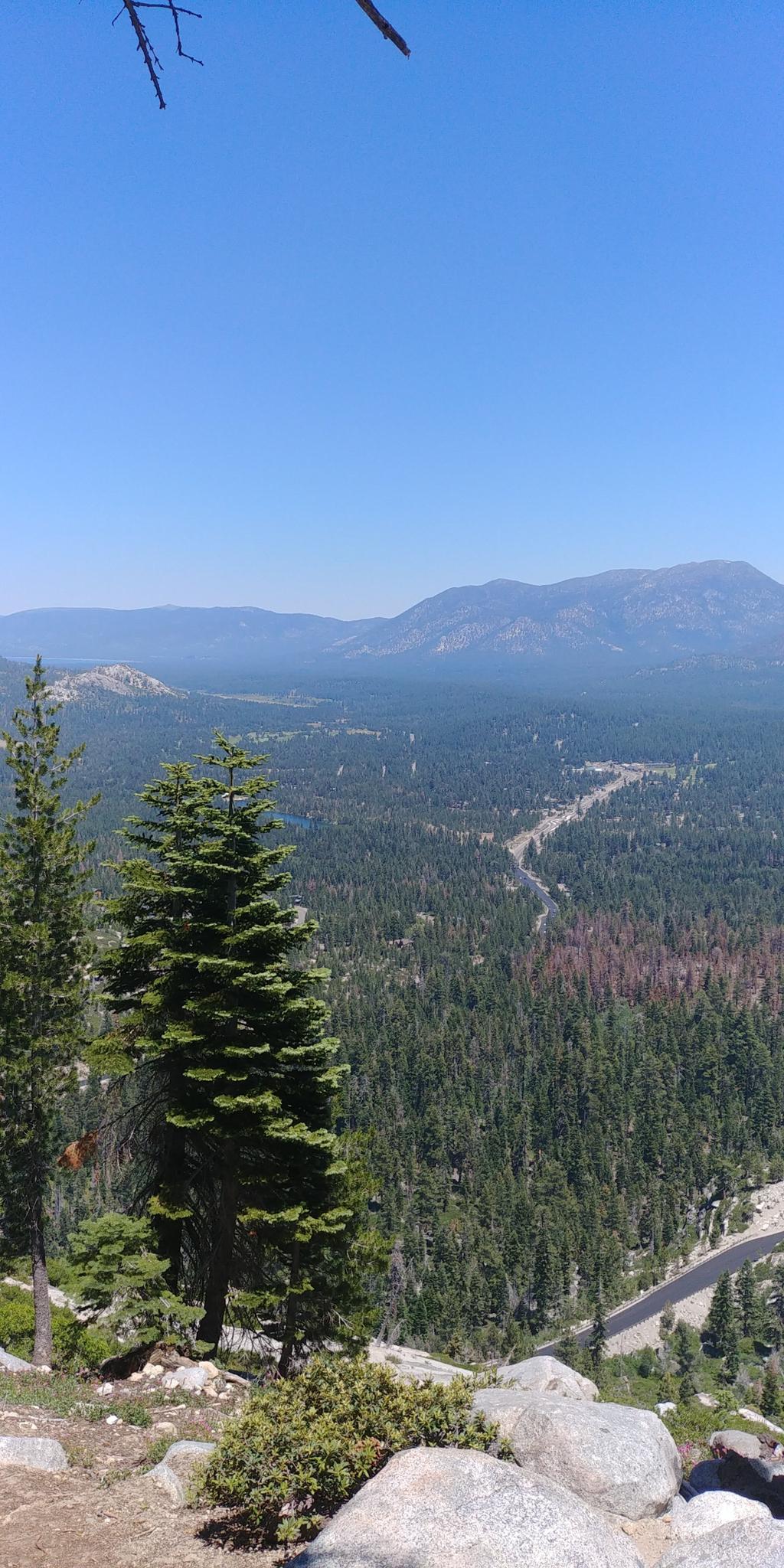 Sunny aerial view of a vast forested valley and distant mountains.