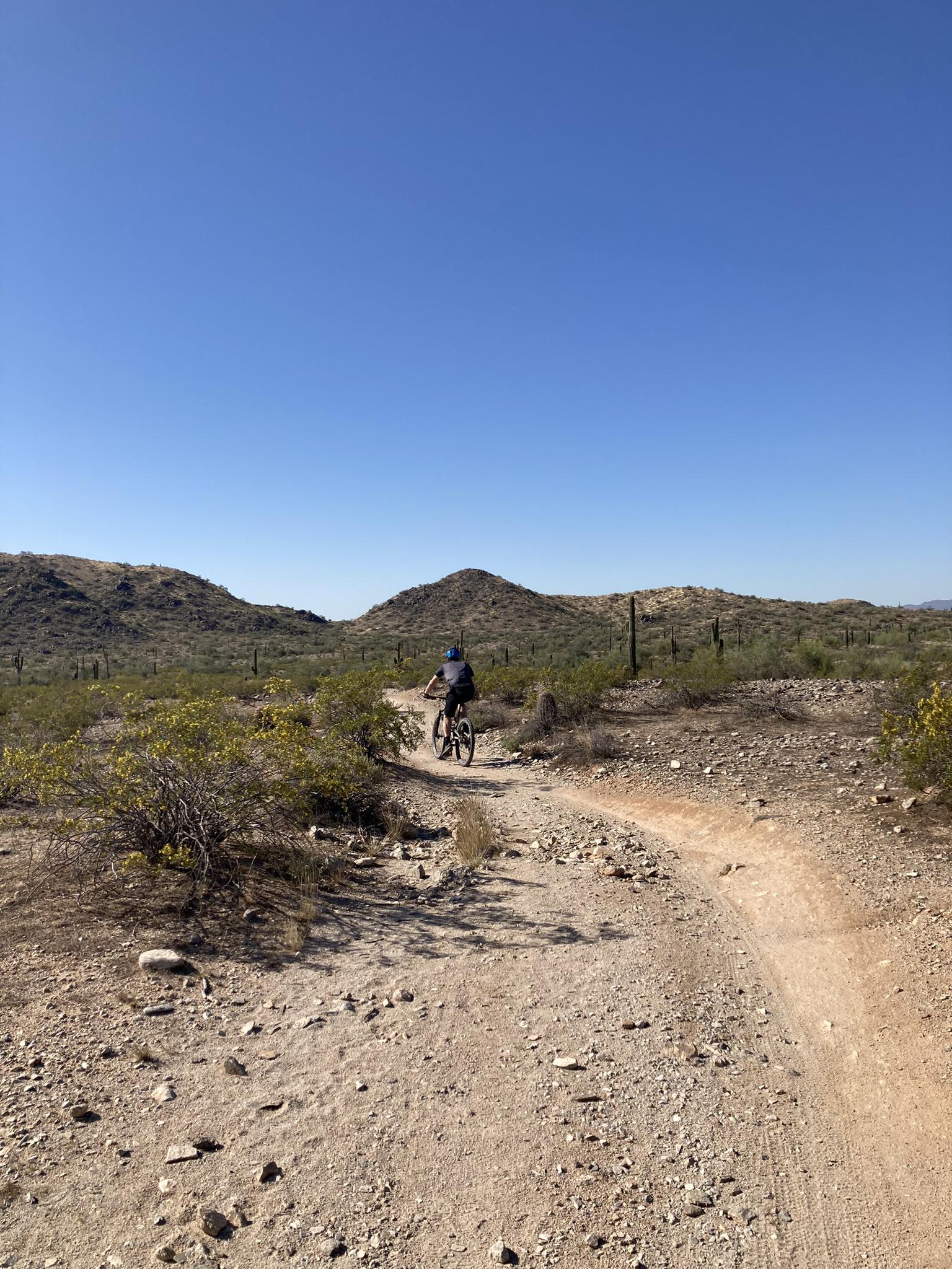A mountain biker rides a desert trail under a clear blue sky.