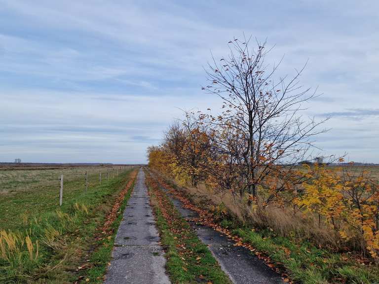 Verwunderlich Aussicht Oie Kirr Bilder