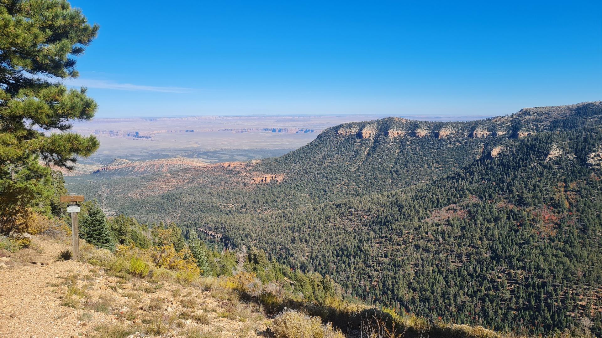 Vast mountain landscape with forested slopes, distant mesas, and a clear blue sky.