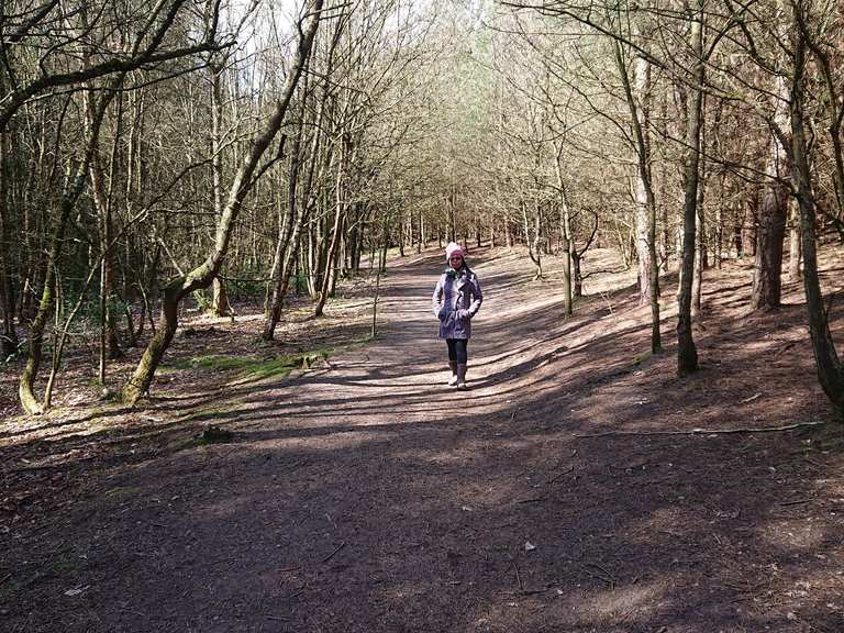 Blidworth Woods Wanderungen und Rundwege komoot