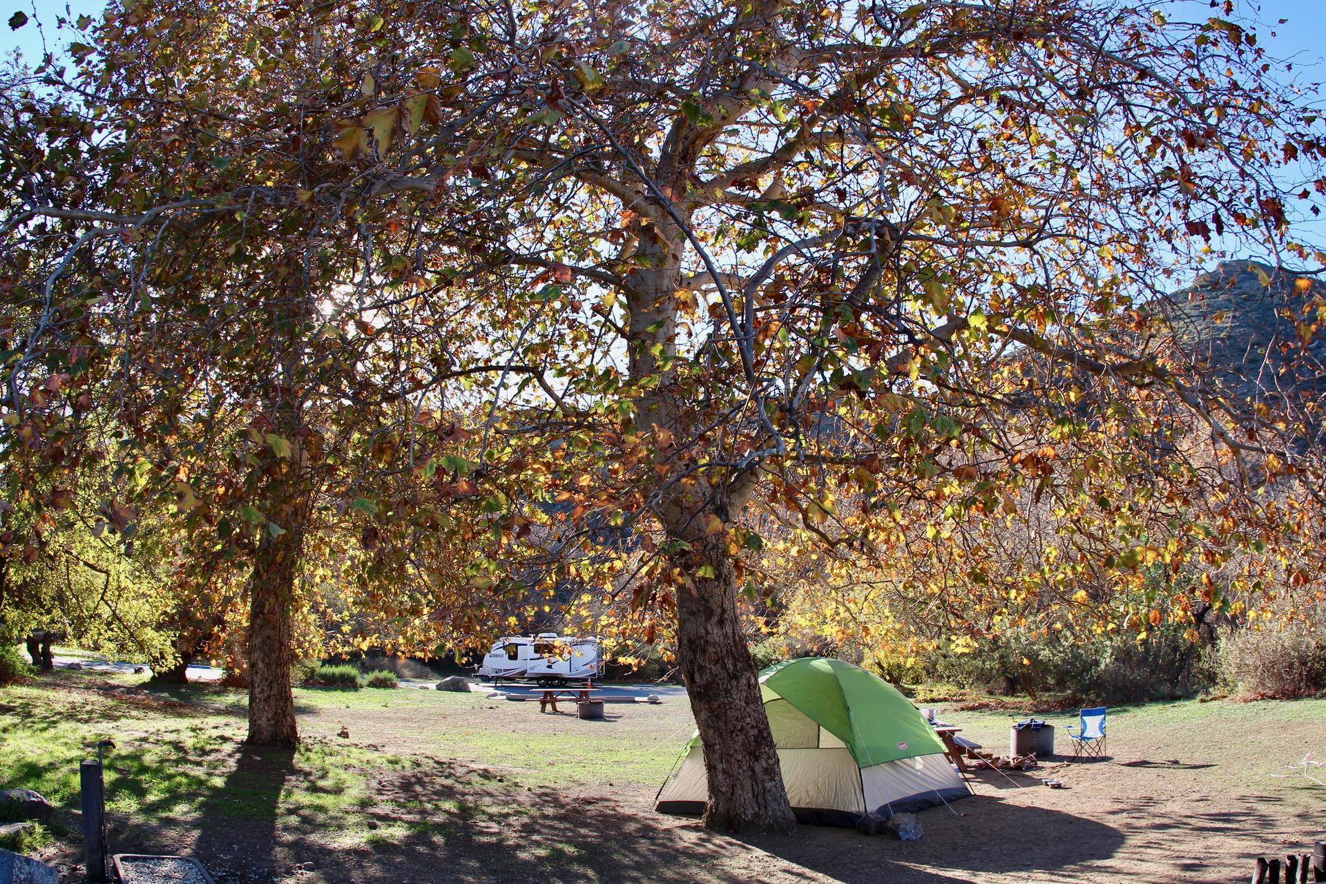 Sunny campsite with green tent, RV, and autumn trees.