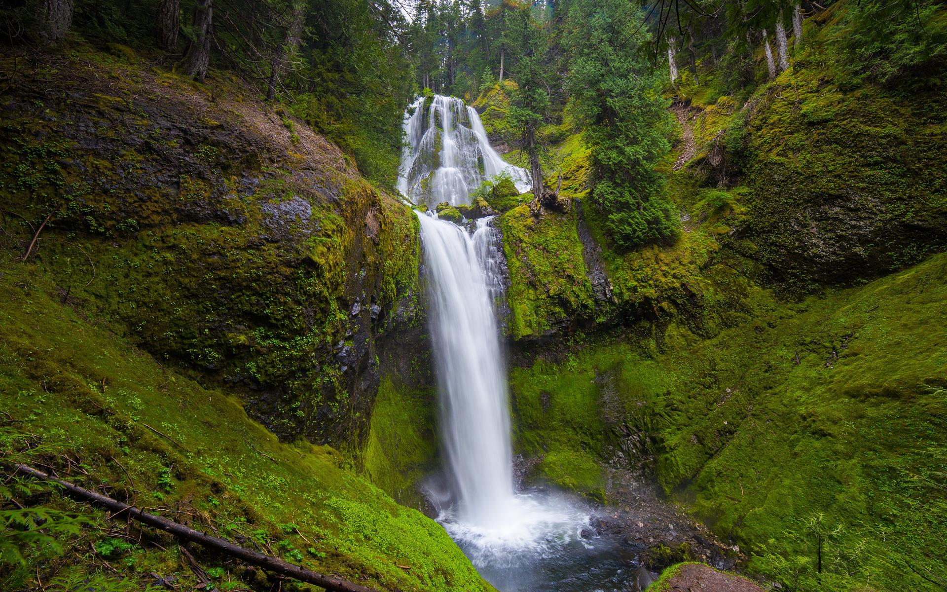 Waterfall plunges into a pool surrounded by lush green moss and trees.