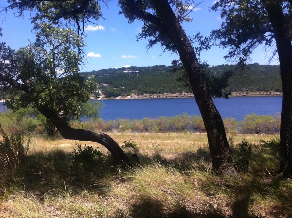 Bright sunny day overlooking a blue lake framed by dark tree trunks and grass.