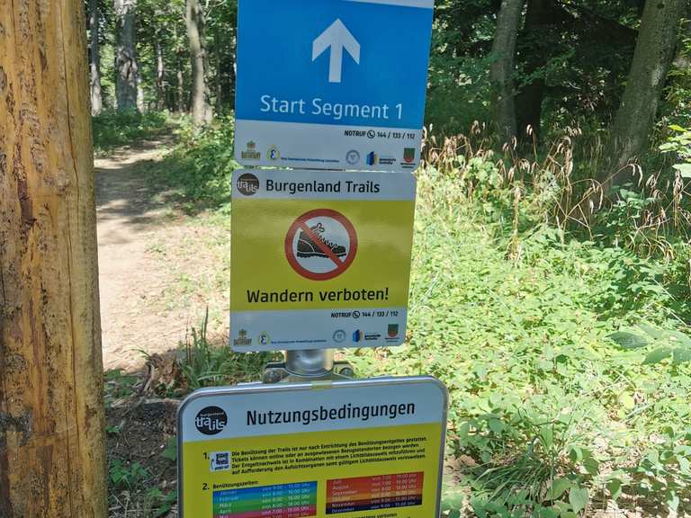 Esterházy Trail Mountain Bike Trails & Tracks Komoot