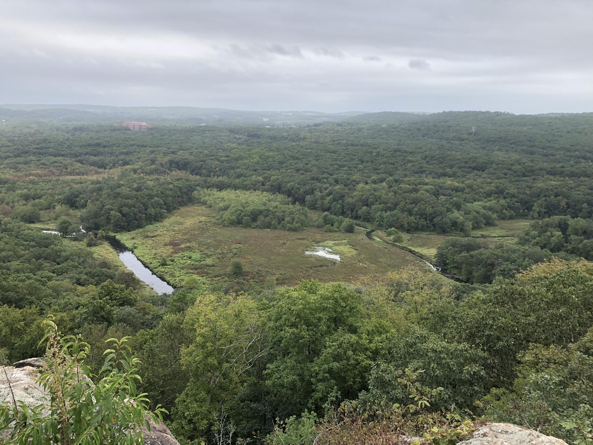 Overcast view of a vast green forest, winding river, and marshland.