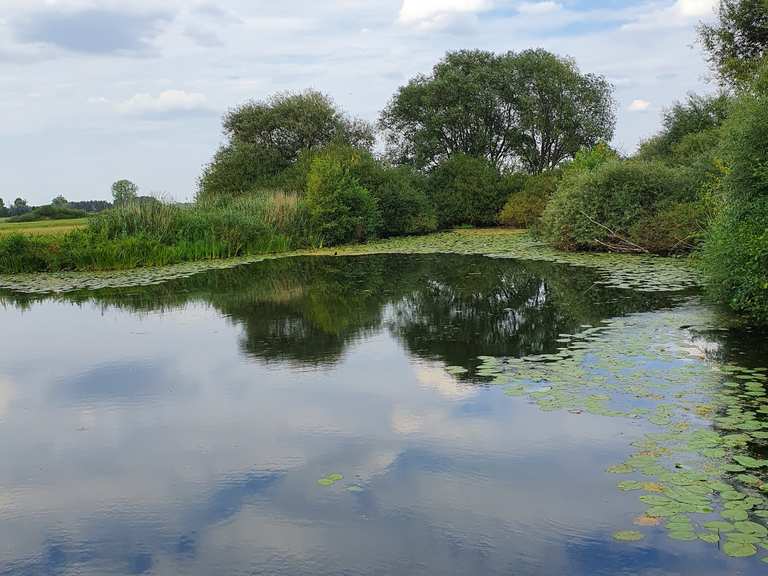 Brücke über Teich Radtouren und Radwege komoot
