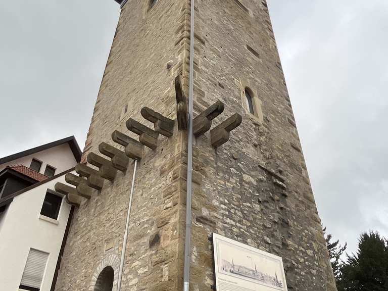 Pfeiferturm Bretten Wanderungen und Rundwege komoot