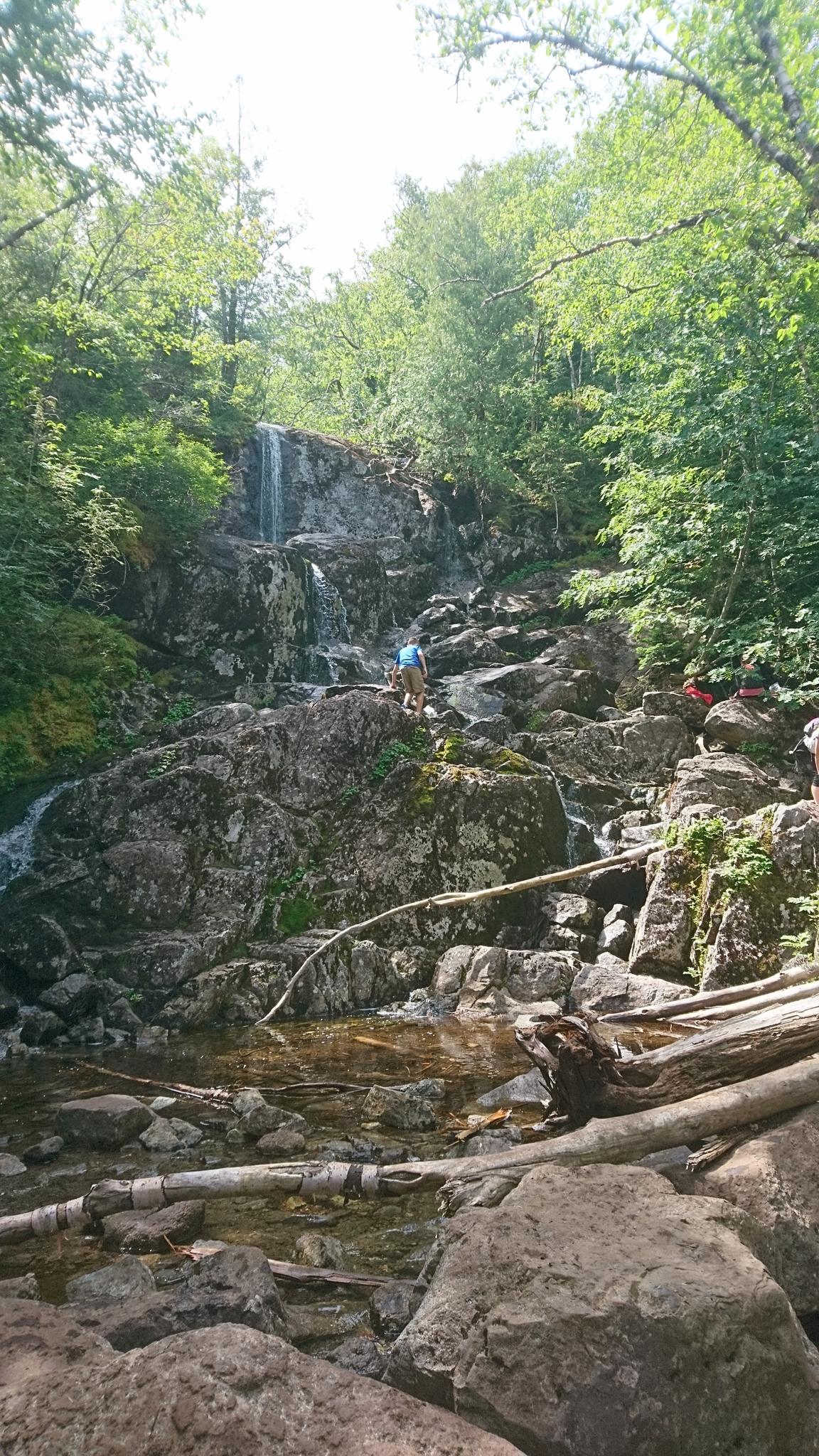 A person climbs a rocky waterfall in a sunlit forest.