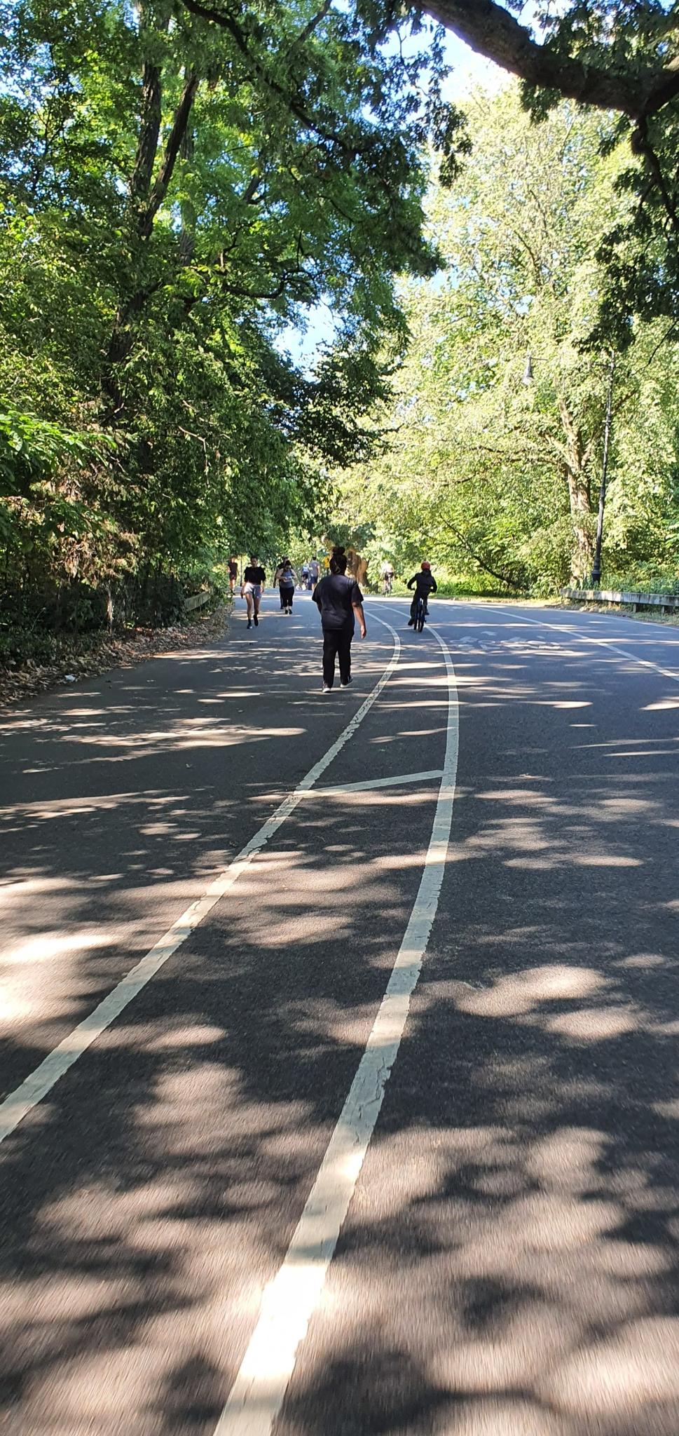 People walking and cycling on a shaded paved road through trees.