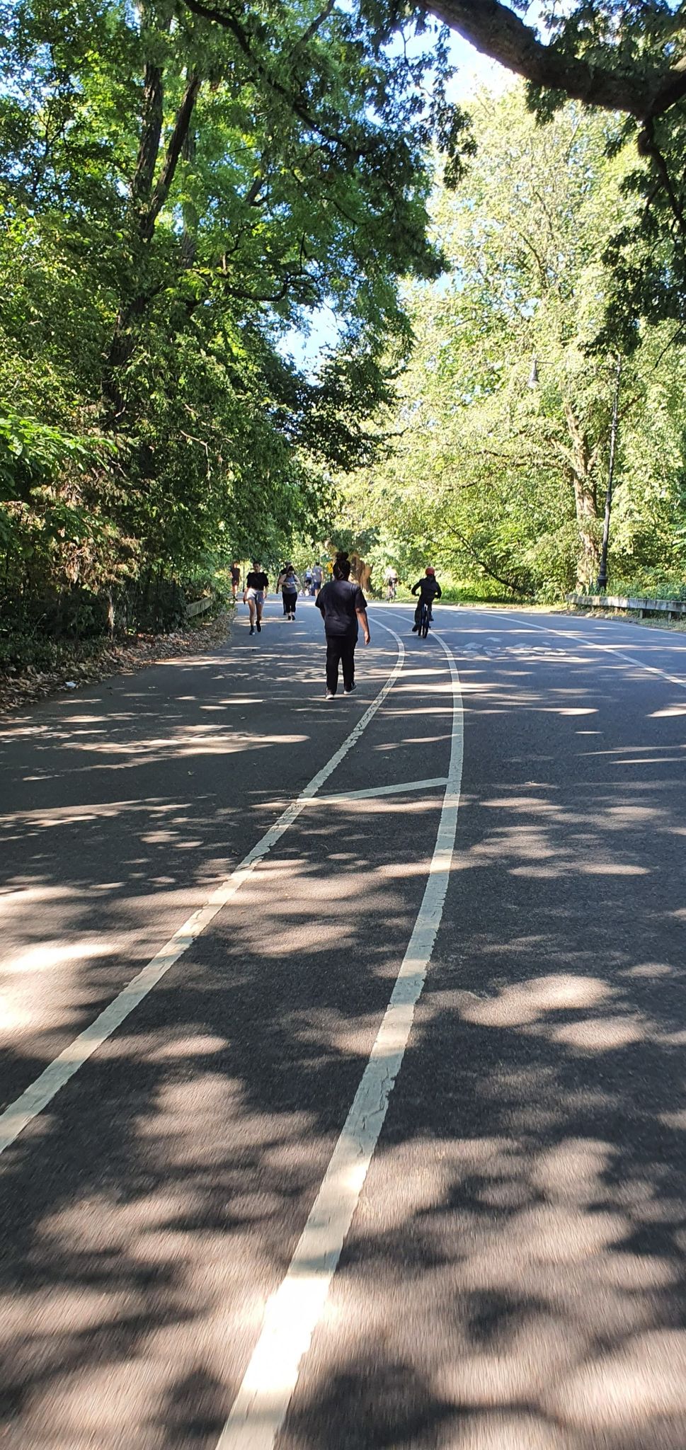 People walking and cycling on a shaded paved road through trees. - Coney Island loop
