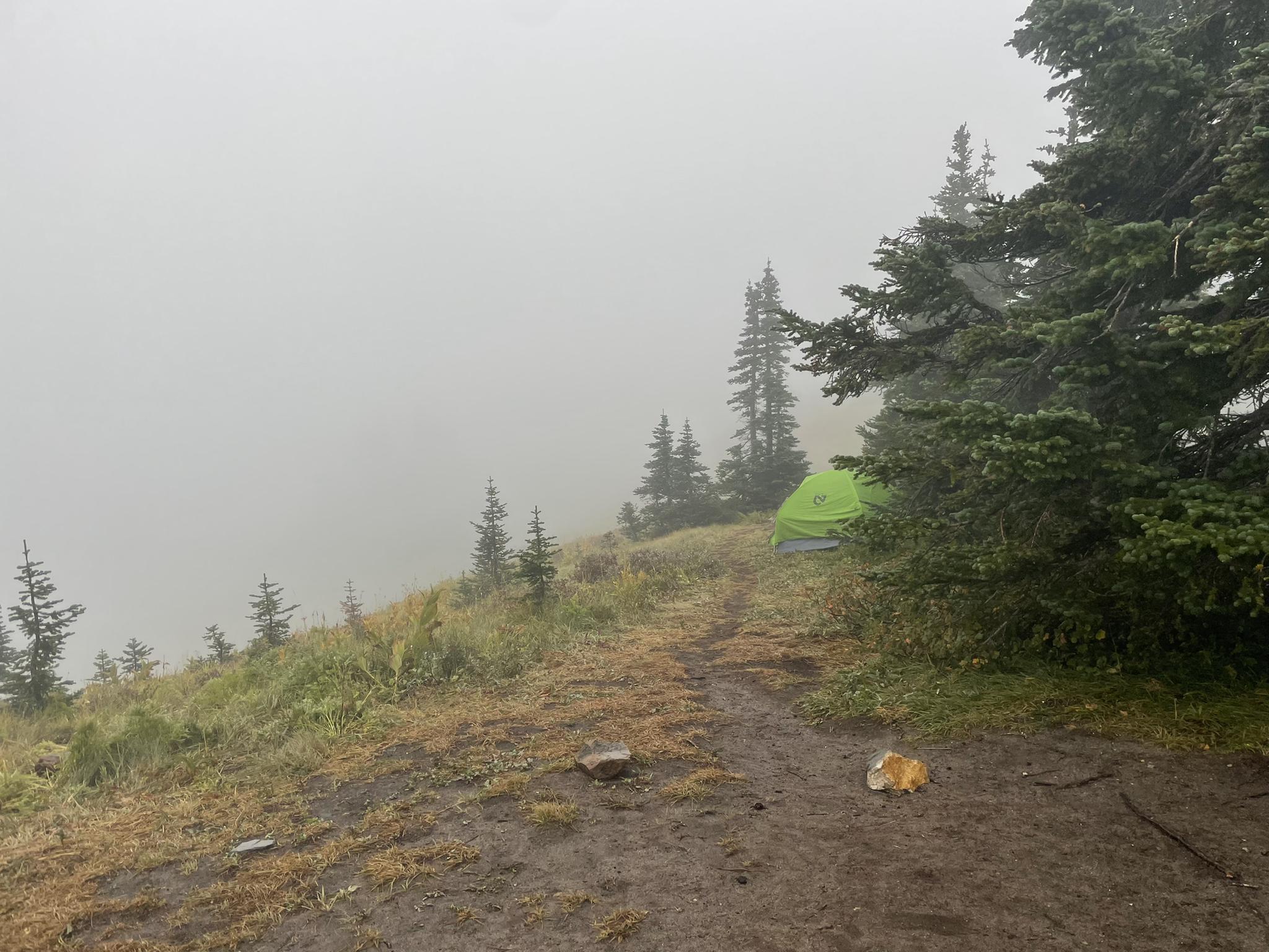 Foggy mountain landscape with a green tent and evergreen trees.