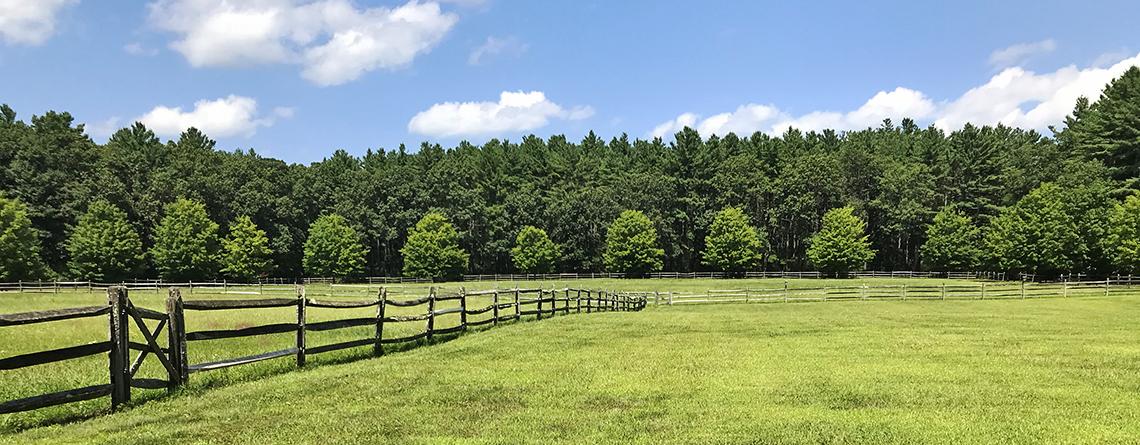 Green grassy field with a wooden fence and lush trees under a sunny sky.