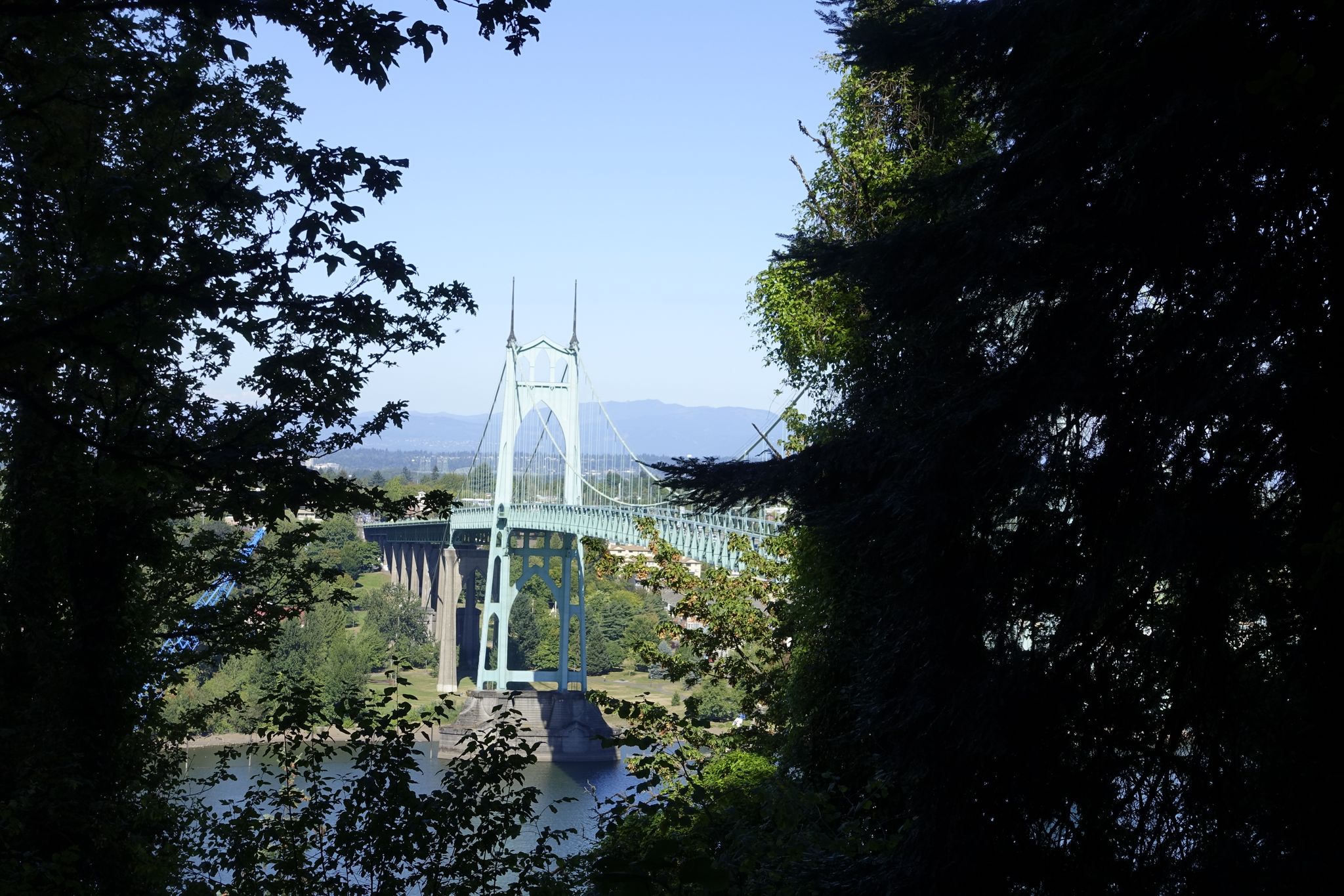 Suspension bridge over a river, framed by dark trees, with mountains beyond. - St. Johns Bridge Viewpoint loop from Forest Park