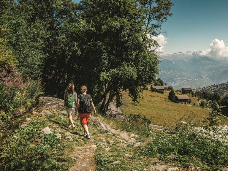 Nendaz/Veysonnaz Suonen hike themed hikes in Valais hike Komoot