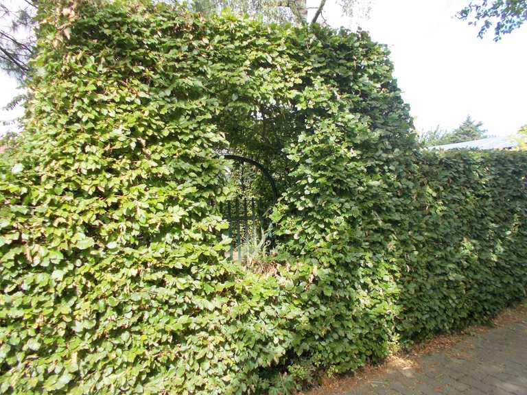Telgter Gartenbau Rastplatz : Radtouren und Radwege | komoot