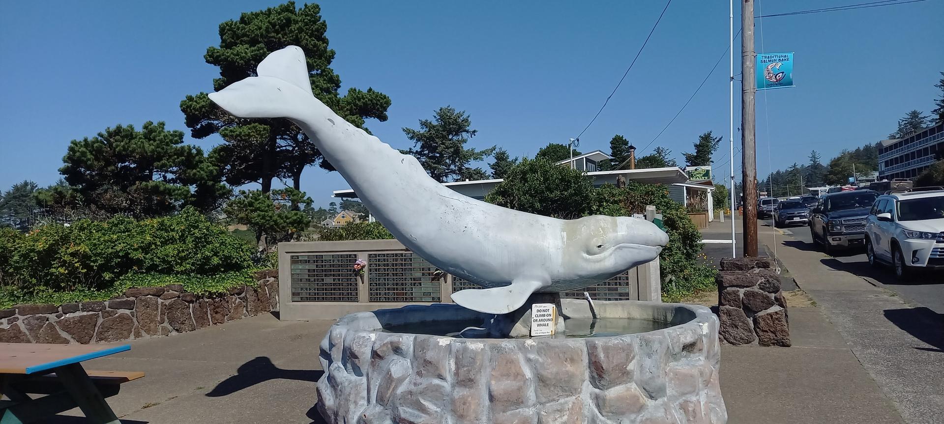 Bright sunny day with a large white whale statue in a fountain.