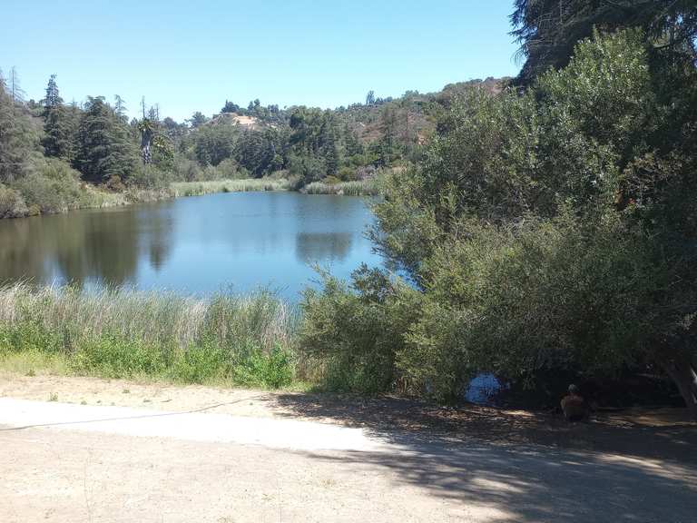 Upper Franklin Canyon Reservoir: Wanderungen und Rundwege | komoot