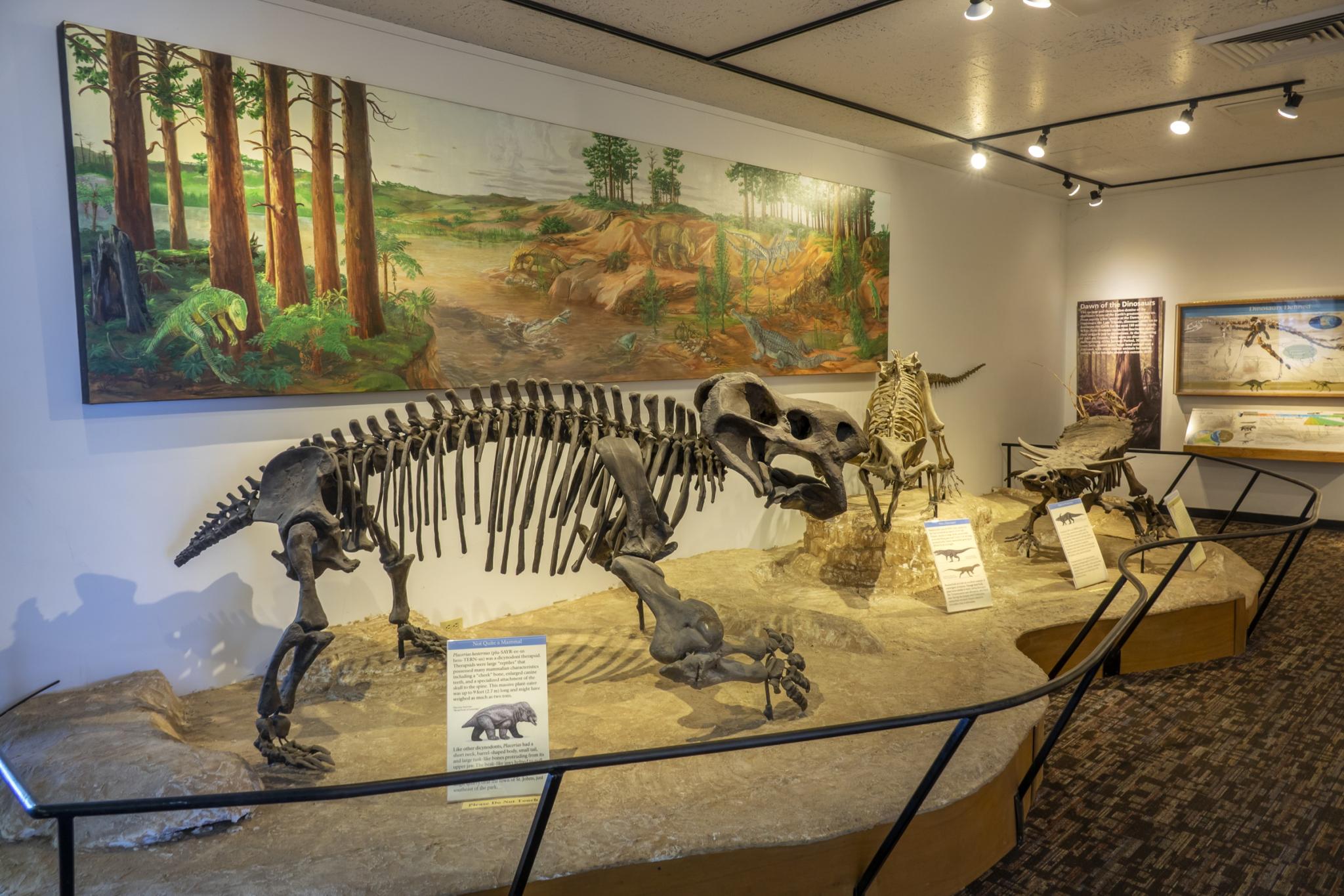 Dinosaur skeleton display in a museum with a large painted mural.