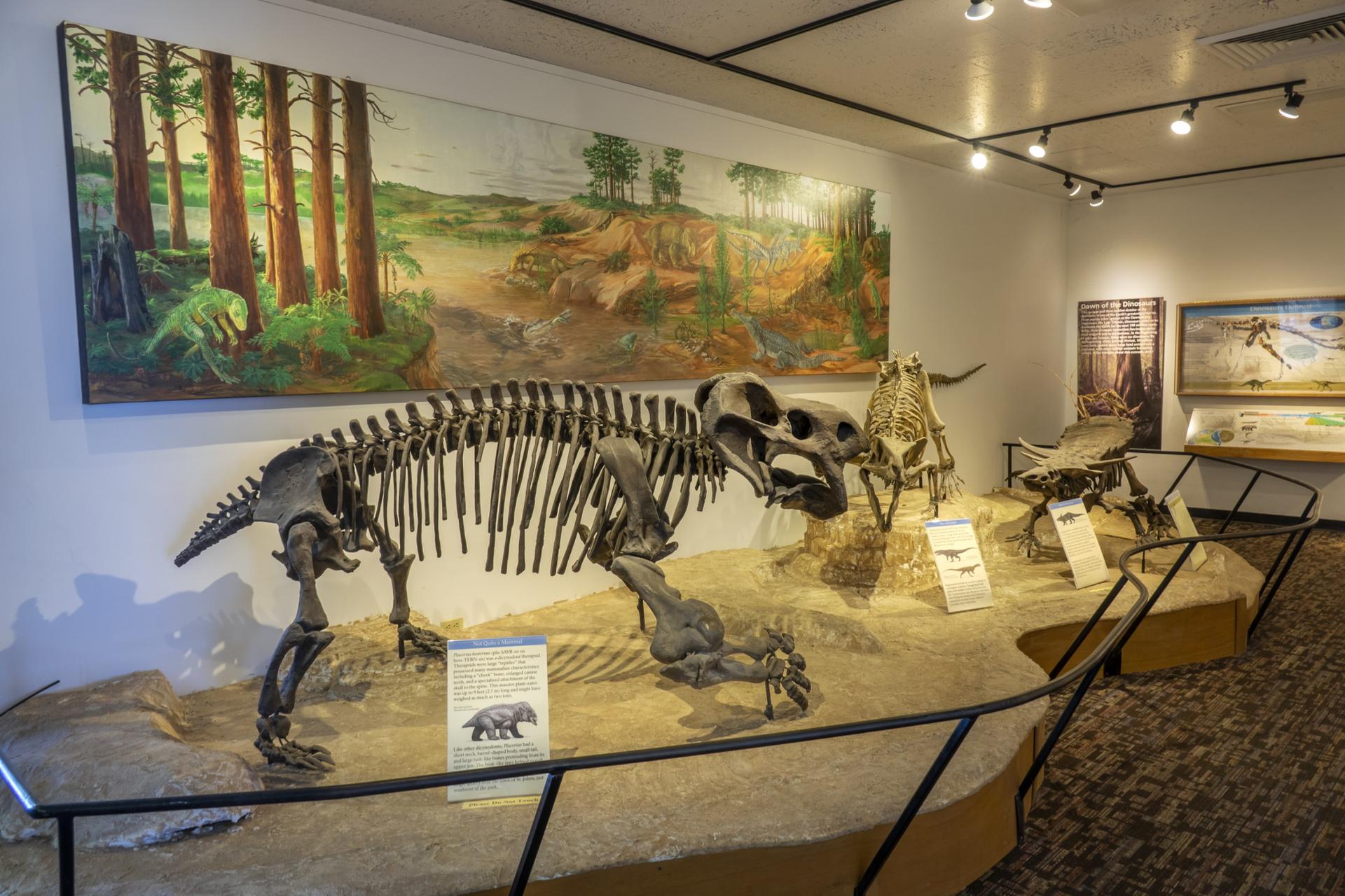 Dinosaur skeleton display in a museum with a large painted mural.