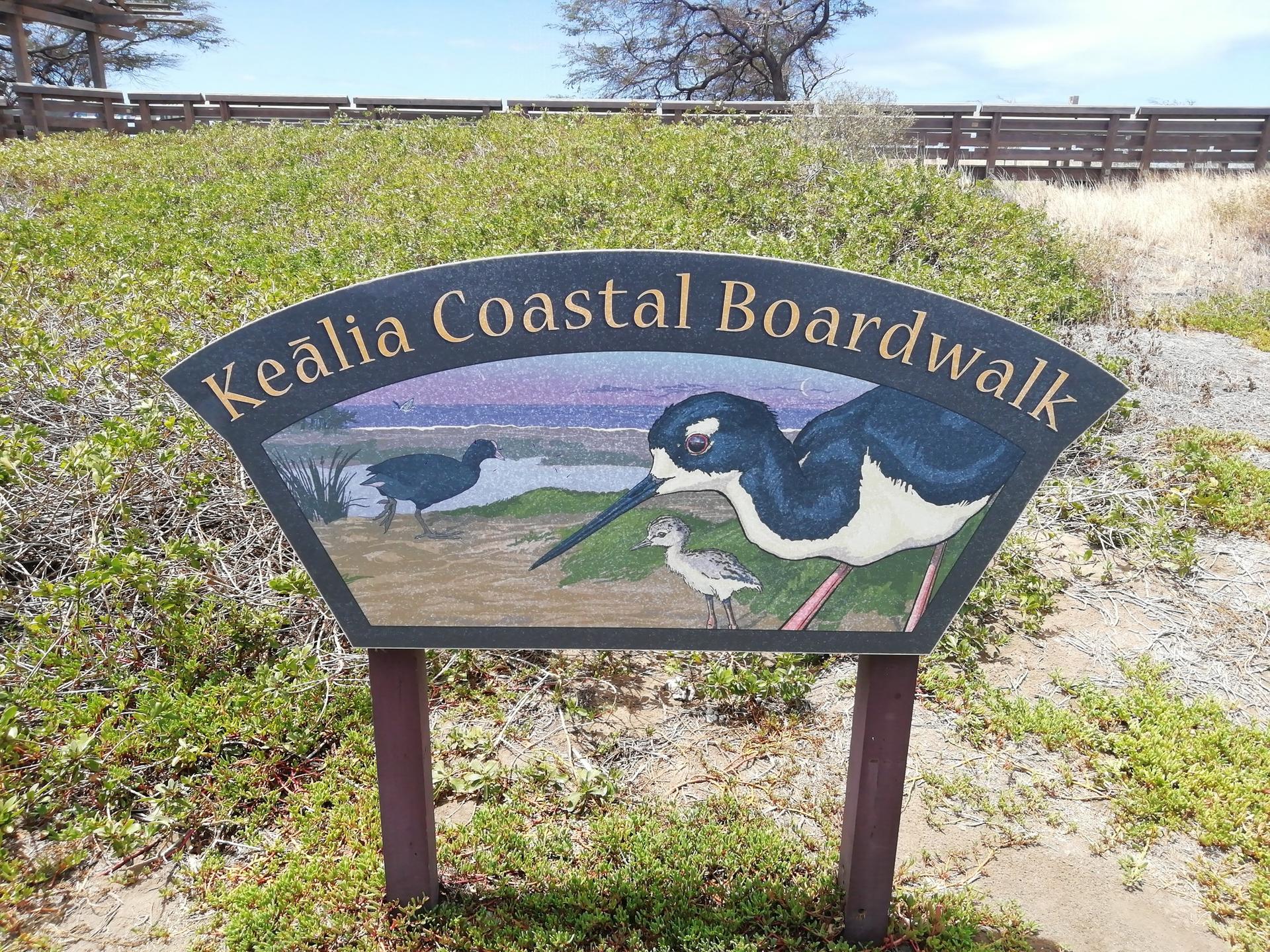 A wooden sign with bird illustrations stands in a sunny, grassy area.